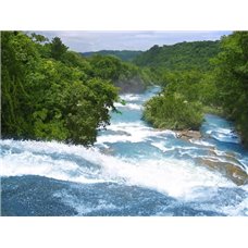 Картина на холсте по фото Модульные картины Печать портретов на холсте Бурлящий водопад в зеленом лесу - Фотообои водопады