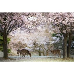 Олени в цветущих деревьях - Фотообои Животные - Модульная картины, Репродукции, Декоративные панно, Декор стен