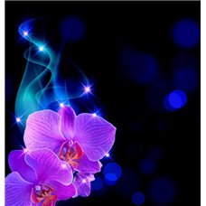 Картина на холсте по фото Модульные картины Печать портретов на холсте Блесточки - Фотообои цветы|орхидеи