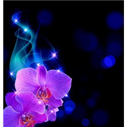 Блесточки - Фотообои цветы|орхидеи - Модульная картины, Репродукции, Декоративные панно, Декор стен