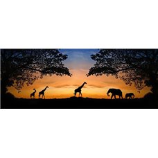 Картина на холсте по фото Модульные картины Печать портретов на холсте Животные на закате - Фотообои Животные|жирафы