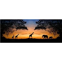 Портреты картины репродукции на заказ - Животные на закате - Фотообои Животные|жирафы