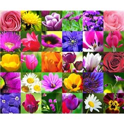 Цветочный коллаж - Фотообои цветы|другие - Модульная картины, Репродукции, Декоративные панно, Декор стен