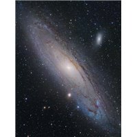 Галактика Андромеды - Фотообои Космос