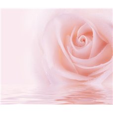 Картина на холсте по фото Модульные картины Печать портретов на холсте Роза на воде - Фотообои цветы|розы