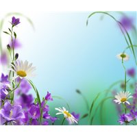Колокольчики и ромашки - Фотообои цветы|ромашки