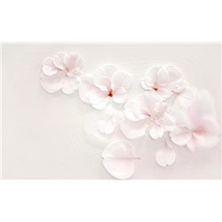 Белые лепестки на стене - 3D фотообои|3D цветы