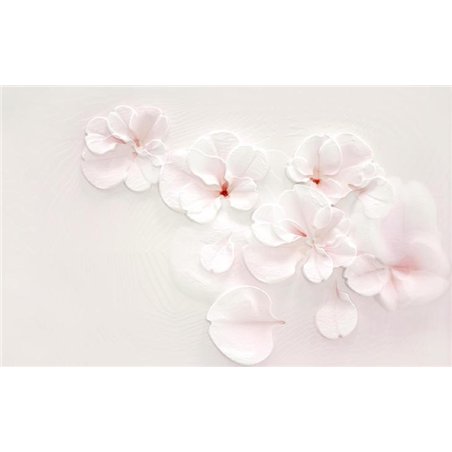 Белые лепестки на стене - 3D фотообои|3D цветы