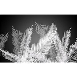 Белые листья - 3D фотообои|3D паттерн