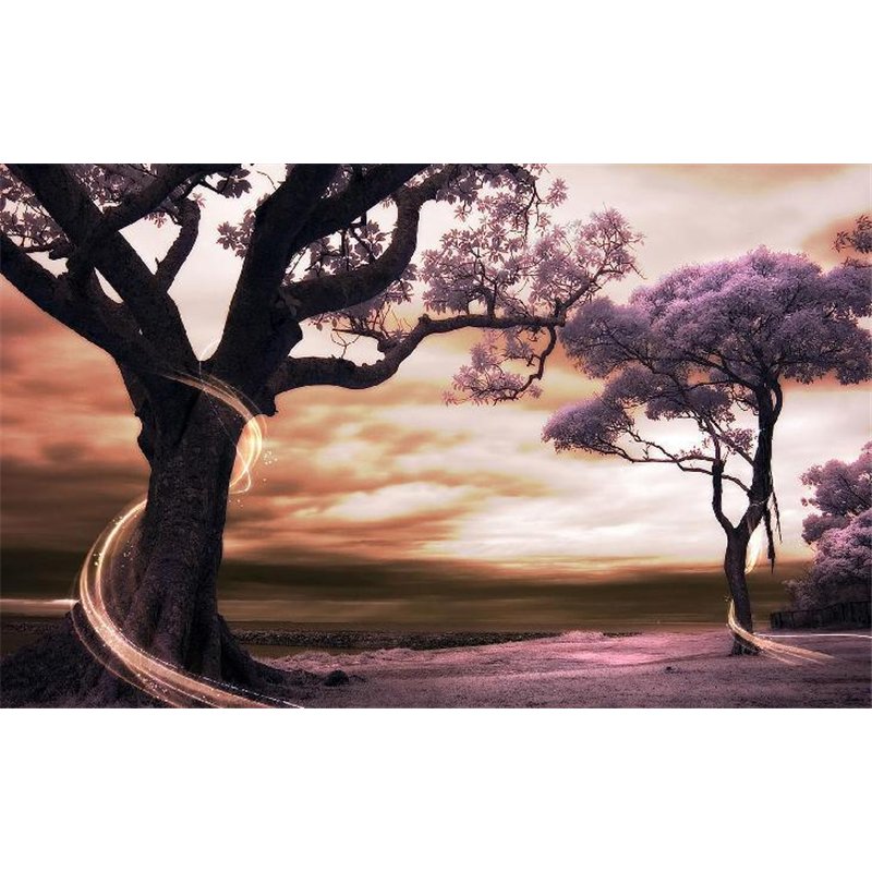 Деревья - 3D фотообои|3Д обои для зала