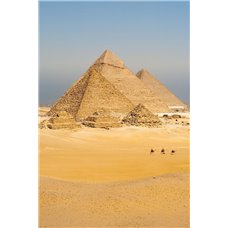 Картина на холсте по фото Модульные картины Печать портретов на холсте Верблюды в пустыне - Фотообои архитектура|Египет