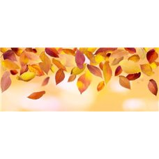 Картина на холсте по фото Модульные картины Печать портретов на холсте Осенние листья - Фотообои цветы|листья