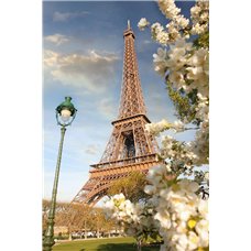 Картина на холсте по фото Модульные картины Печать портретов на холсте Парк Парижа - Фотообои архитектура|Париж