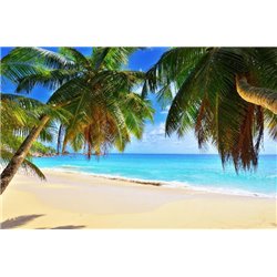 Пальмы и море - Фотообои Море|пляж - Модульная картины, Репродукции, Декоративные панно, Декор стен