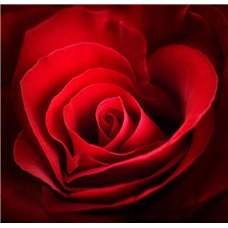 Картина на холсте по фото Модульные картины Печать портретов на холсте Красная роза - Фотообои Романтик