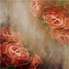 Картина на холсте по фото Модульные картины Печать портретов на холсте Розы на холсте - Фотообои цветы|розы