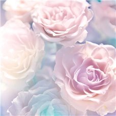 Картина на холсте по фото Модульные картины Печать портретов на холсте Бутоны розовых роз - Фотообои цветы|розы