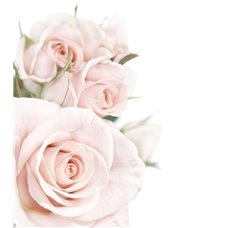 Картина на холсте по фото Модульные картины Печать портретов на холсте Очарование - Фотообои цветы|розы
