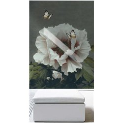 Бабочки над белым цветком - 3D фотообои|3D цветы