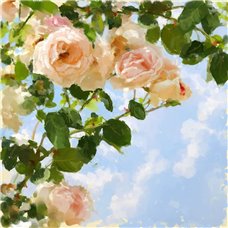 Картина на холсте по фото Модульные картины Печать портретов на холсте Розы абстракция - Фотообои цветы|розы