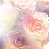 Портреты картины репродукции на заказ - Цветы роз - Фотообои цветы|розы