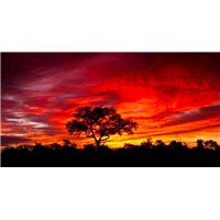 Яркий закат - Фотообои Закаты и рассветы