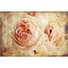 Картина на холсте по фото Модульные картины Печать портретов на холсте Розы в стиле винтаж - Фотообои винтаж