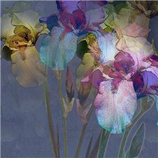 Картина на холсте по фото Модульные картины Печать портретов на холсте Орхидеи абстракция - Фотообои цветы|орхидеи