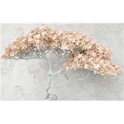 Нежные цветы - 3D фотообои|3D цветы