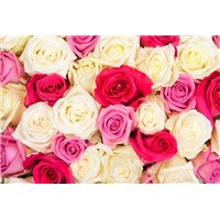 Портреты картины репродукции на заказ - Букет роз - Фотообои цветы|розы
