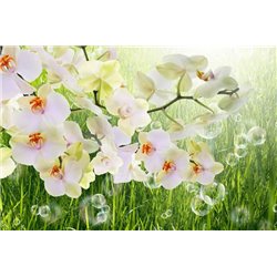 Ветка орхидеи - Фотообои цветы|орхидеи - Модульная картины, Репродукции, Декоративные панно, Декор стен