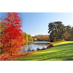 Осенний лес - Фотообои природа|реки - Модульная картины, Репродукции, Декоративные панно, Декор стен