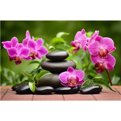 Розовые орхидеи - Фотообои цветы|орхидеи - Модульная картины, Репродукции, Декоративные панно, Декор стен