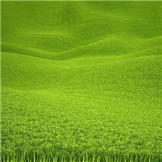 Картина на холсте по фото Модульные картины Печать портретов на холсте Зелёная трава на холмах - Фотообои природа|деревья и травы