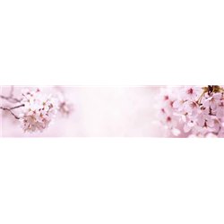 Цветение - Фотообои цветы|цветущие деревья
