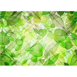 Зелёные листья - Фотообои Фоны и текстуры|природа - Модульная картины, Репродукции, Декоративные панно, Декор стен