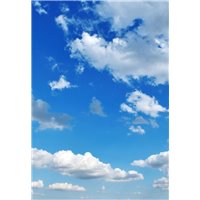 Портреты картины репродукции на заказ - Голубое небо - Фотообои Небо