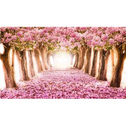 Розовый цвет - Фотообои природа|дороги - Модульная картины, Репродукции, Декоративные панно, Декор стен
