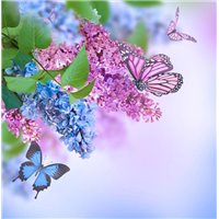 Бабочки на сирени - Фотообои природа|бабочки