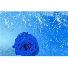 Картина на холсте по фото Модульные картины Печать портретов на холсте Синяя роза - Фотообои цветы|розы