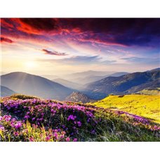 Картина на холсте по фото Модульные картины Печать портретов на холсте Полевые цветы на склонах - Фотообои горы