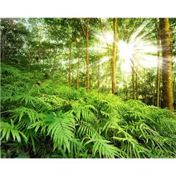 День в лесу - Фотообои природа|деревья и травы - Модульная картины, Репродукции, Декоративные панно, Декор стен