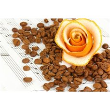 Картина на холсте по фото Модульные картины Печать портретов на холсте Роза с корки апельсина - Фотообои Еда и напитки|кофе