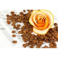 Роза с корки апельсина - Фотообои Еда и напитки|кофе
