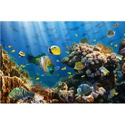 Морской мир - Фотообои Море|подводный мир - Модульная картины, Репродукции, Декоративные панно, Декор стен