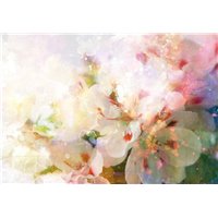 Розовые цветы - Фотообои акварель