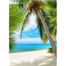 Картина на холсте по фото Модульные картины Печать портретов на холсте Пальма с кокосами - Фотообои Море|пляж