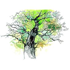 Картина на холсте по фото Модульные картины Печать портретов на холсте дерево - Фотообои Иллюстрации