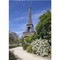 Вид на Эйфелеву башню - Фотообои архитектура|Париж