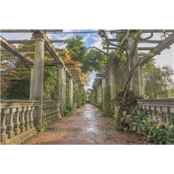 Старый сад - Фотообои терраса - Модульная картины, Репродукции, Декоративные панно, Декор стен